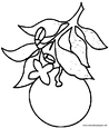 Lamina para colorear Dibujos de Frutas. naranjas